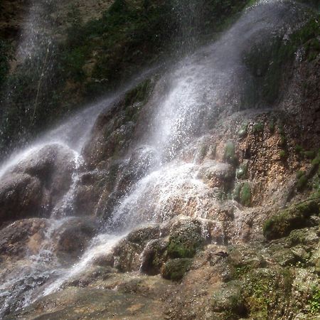 Hacienda El Jibarito Apart otel San Sebastian Dış mekan fotoğraf