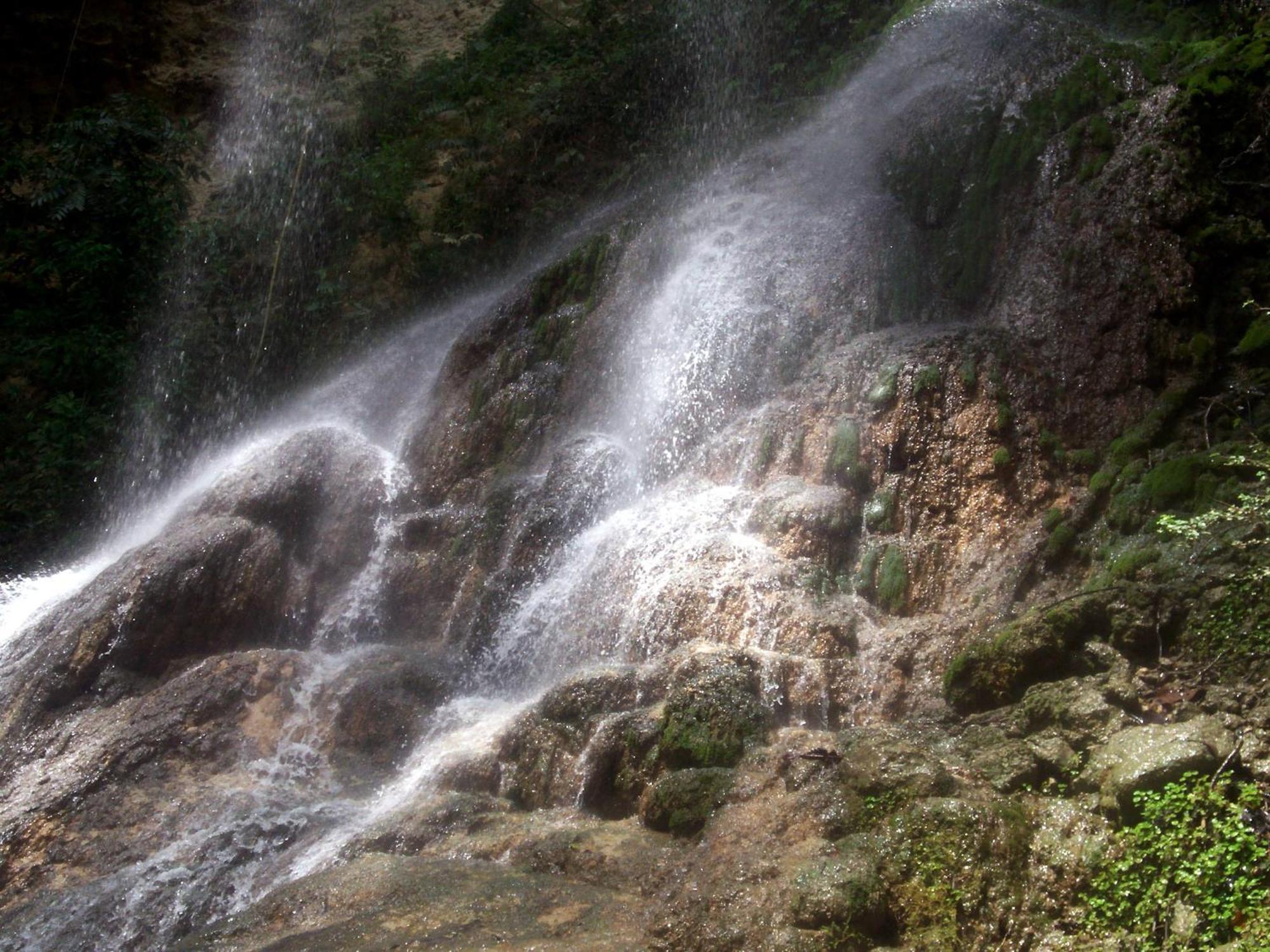 Hacienda El Jibarito Apart otel San Sebastian Dış mekan fotoğraf